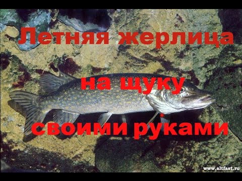 Летняя жерлица на щуку своими руками. Что может быть проще.