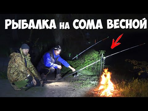 РЫБАЛКА на СОМА ВЕСНОЙ 2021!!! СНАСТЬ на СОМА и ЛОВЛЯ СОМА на ВЫПОЛЗКА и ДОНКИ с БЕРЕГА