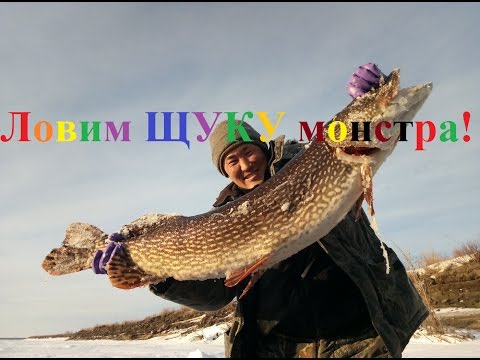 Fishing ловим ЩУКУ монстра! Якутия Yakutia
