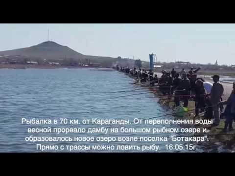 Рыбалка в Карагандинской области. Казахстан.