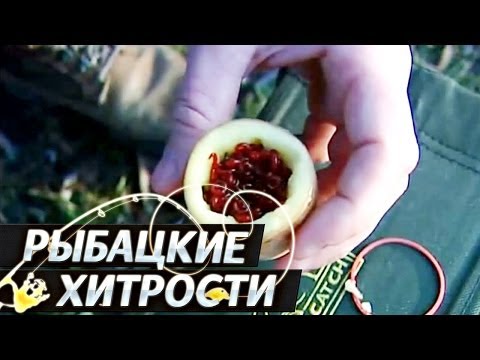 Хранение Мотыля. &quot;Рыбацкие Хитрости&quot;.