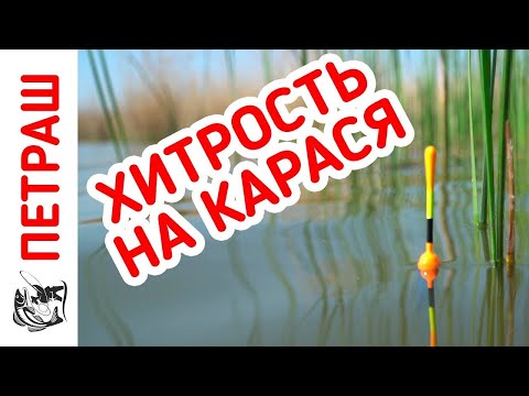 Рыбалка НА КАРАСЯ! Рвём красного и КАРАСЬ ДУРЕЕТ!