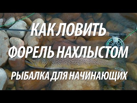 НАХЛЫСТОВАЯ СНАСТЬ ДЛЯ НАЧИНАЮЩИХ. РЫБАЛКА НА РЫБУ ФОРЕЛЬ НАХЛЫСТОМ