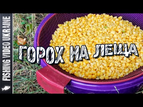 Правильный горох для крупного леща и другой мирной рыбы | 1080p | FishingVideoUkraine