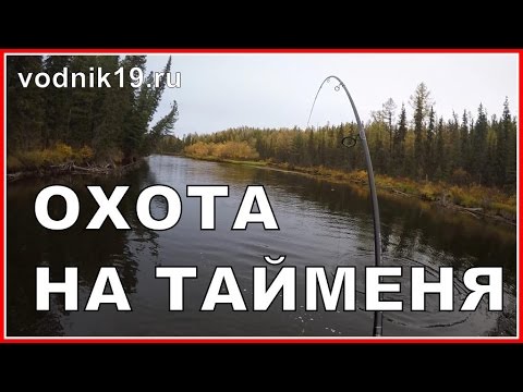 Атака ТАЙМЕНЯ НА МЫША днем! Видео рыбалки на трофейного тайменя в реальном времени