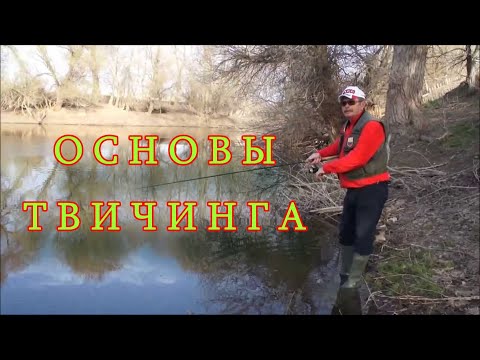 Константин Кузьмин. Основы твичинга.