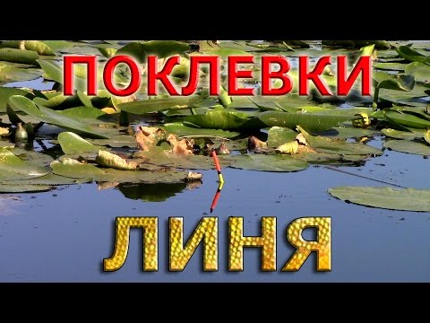 Рыбалка на поплавок. ПОКЛЕВКИ ЛИНЯ.