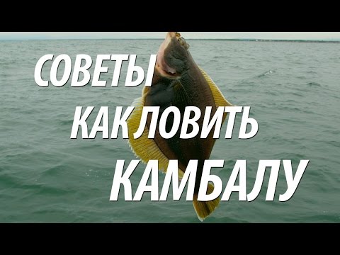 РЫБА КАМБАЛА ЛОВЛЯ С БЕРЕГА. МОРСКАЯ РЫБАЛКА НА КАМБАЛУ