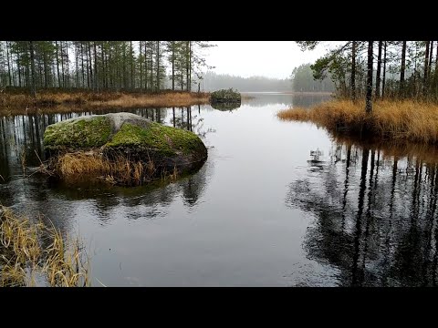 Рыбалка в Карелии