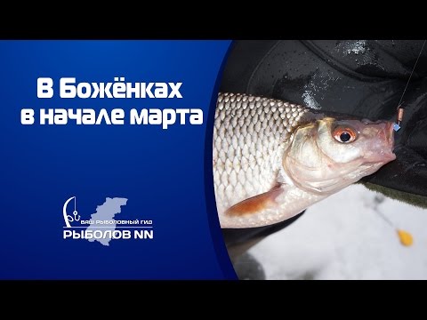 Ловля плотвы и окуня на безнасадочные мормышки в марте