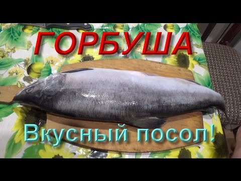 Как вкусно засолить горбушу и другую красную рыбу