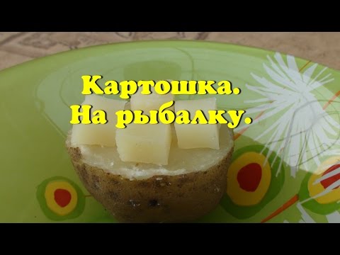 Как приготовить уловистую насадку для ловли карпа, белого амура?