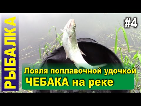 Рыбалка - Ловля чебака на реке поплавочной удочкой. Прикормка &quot;DUNAEV-FADEEV Feeder River&quot;. Тест.