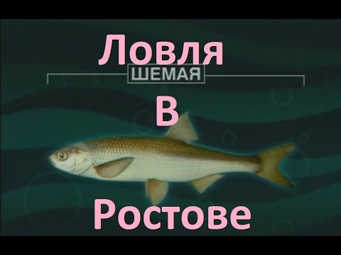 Диалоги о рыбалке -128- Ростовская область, Шемая.