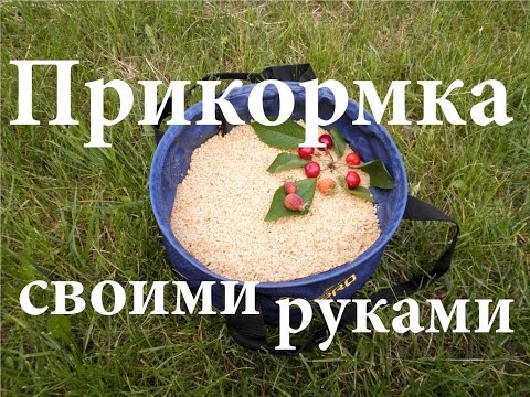 Прикормка для рыбы своими руками, лучшие рецепты в домашних условиях