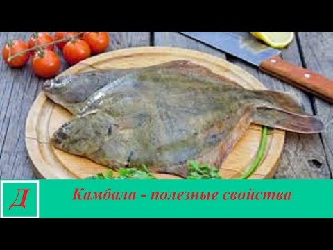 Камбала - полезные свойства рыбы