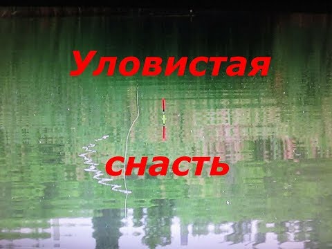 Оснастка для поплавочной удочки ( фидерная ) Чувствительная и уловистая снасть на летнюю удочку