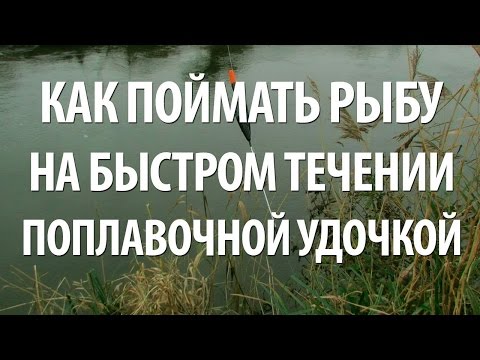 РЫБАЛКА на ПОПЛАВОК в ПРОВОДКУ на БЫСТРОМ ТЕЧЕНИИ