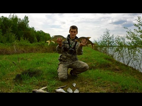 Рыбалка на фидер ловля рыбы на фидерную снасть (Рыбалка видео) / Feeder bream– MF №62