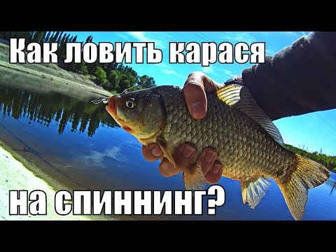  Зимняя ловля карася: снасти, наживка, приманка - видео 