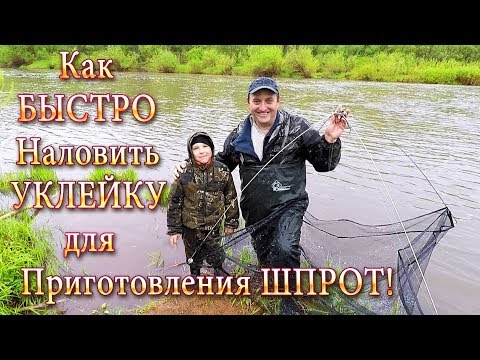 Ловим Уклейку! Как БЫСТРО Наловить Уклейку для Приготовления Шпрот!