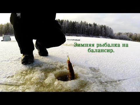 Первый лед. Ловля на балансир. Окунь. Место Важкурья.