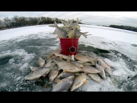 Зимняя рыбалка. Ловля белой рыбы (густера). Бешеный клёв. Рыбалка на льду.