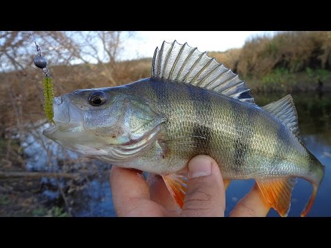 Ловля окуня на джиг приманки. Catching bass on jig.