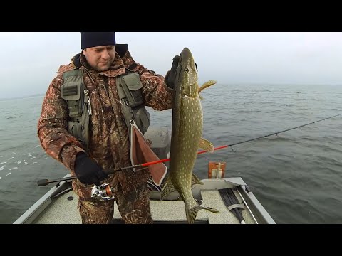 Рыбалка 2015: Ловля щуки зимой по открытой воде