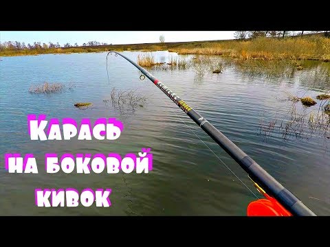 Пошел весенний карась на боковой кивок в камышах!