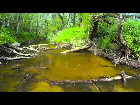 Ловля форели на поденку - Калининградская область Mayfly fly fishing