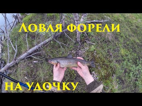 ЛОВЛЯ ФОРЕЛИ НА УДОЧКУ / TROUT FISHING FOR THE BAIT