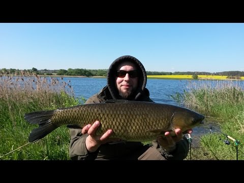 Ловля амура на Flat Feeder (флэт фидер). Мое открытие сезона 2016.