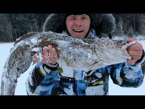 ТРОФЕЙНЫЙ НАЛИМ НА ЖЕРЛИЦУ!!! - ЖЕРЛИЦА НА НАЛИМА - Часть 1 -