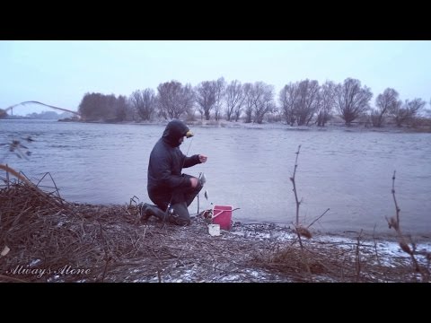 Зимняя рыбалка на открытой воде. Ловля на донку (закидушку). Щука, густера.