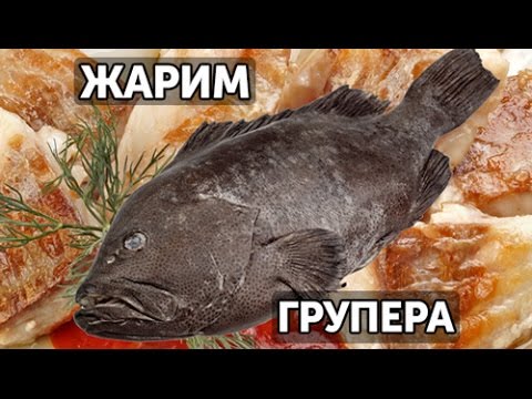 Как просто разделать и приготовить групера | Готовим вместе - Деликатеска.ру