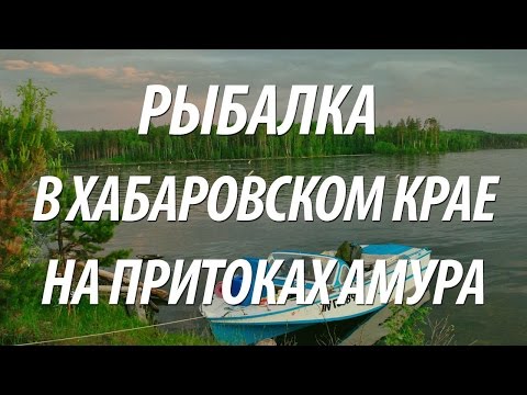 РЫБАЛКА НА АМУРЕ В ХАБАРОВСКОМ КРАЕ