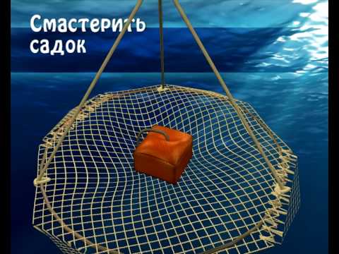 Приманки для раков на раколовки: как выбрать правильную приманку для успешной рыбалки