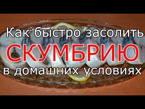 Как быстро засолить скумбрию в домашних условиях