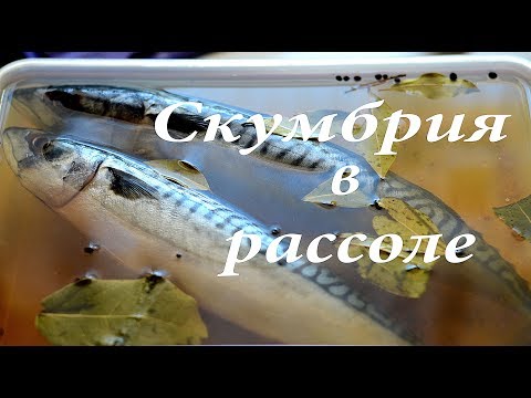 Пряная скумбрия в рассоле вкусно !