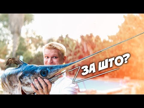 Рыба-меч с чесночной картошечкой