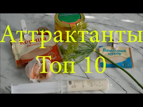 ТОП 10 Аттрактанты для рыбалки на карася, карпа, плотву. Аттрактант для рыбалки своими руками