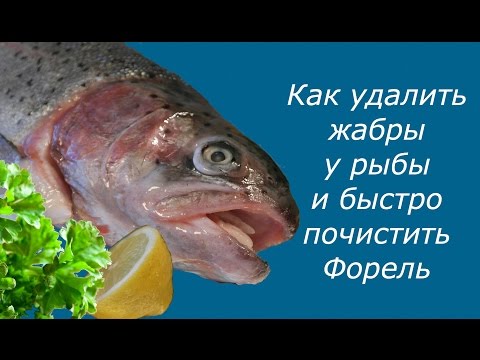 Разделка рыбы. Как удалить жабры у рыбы и быстро почистить Форель