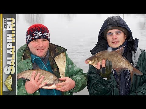 Фидер зимой на открытой воде: советы и рекомендации