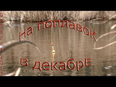 рыбалка в декабре на поплавок по открытой воде