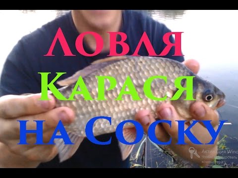 Карась на ПЕНОПЛАСТ!!! Ловля карася на СОСКУ Снасть СОСКА