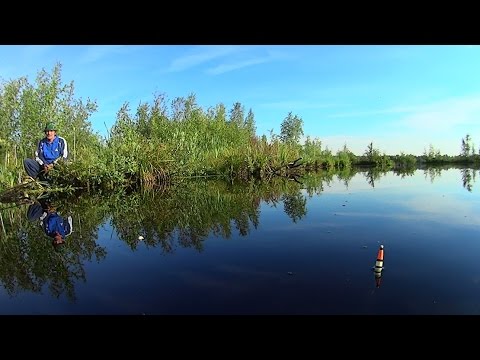 Так клюет карась. Fishing, Russian style!