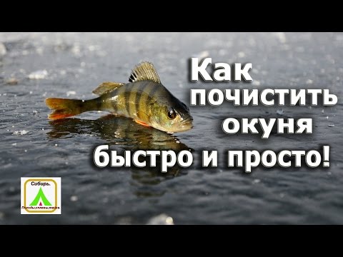 Как почистить окуня быстро и просто.