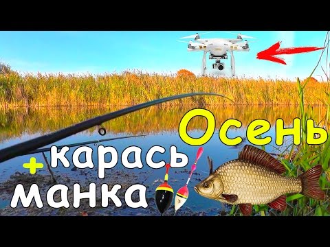 ПОПЛАВОЧНАЯ РЫБАЛКА на КАРАСЯ ОСЕНЬЮ | КАРАСЬ на МАНКУ и ОПАРЫША