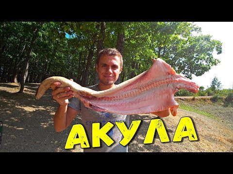 ШАШЛЫК ИЗ АКУЛЫ КАТРАН